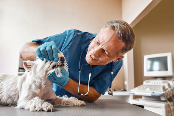 Best Cracked Tooth Emergency Dentist  in Antlers, OK